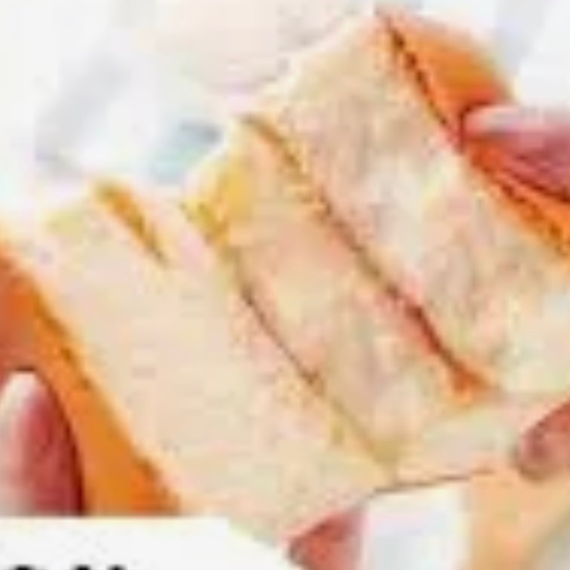 Sponge Cake