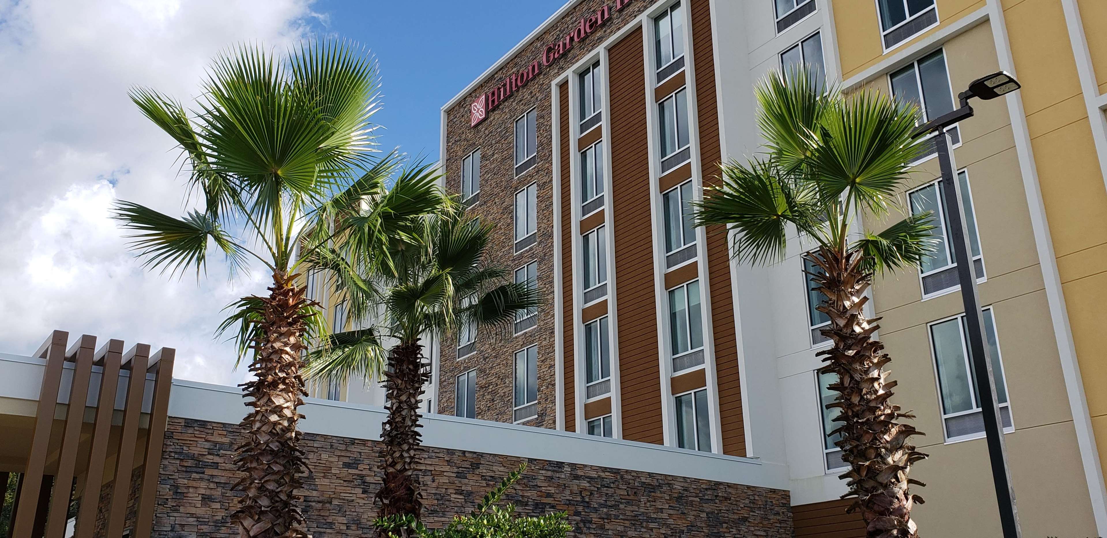 Hilton Garden Inn Tampa-Wesley Chapel Photo