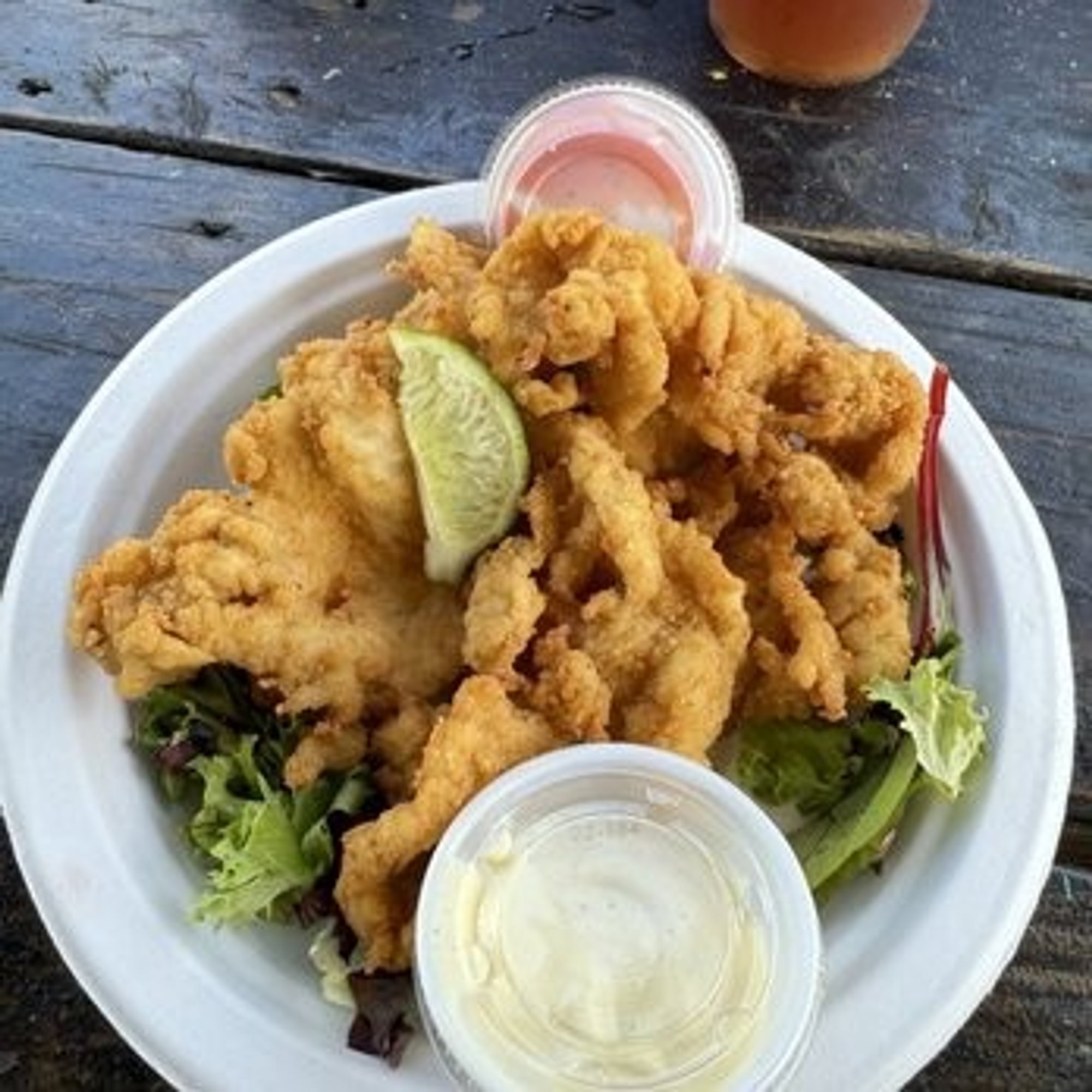 Conch Fritters