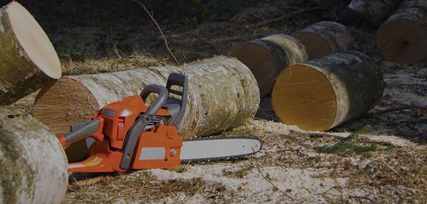 Images Tim's Tree Removal And Services LLC