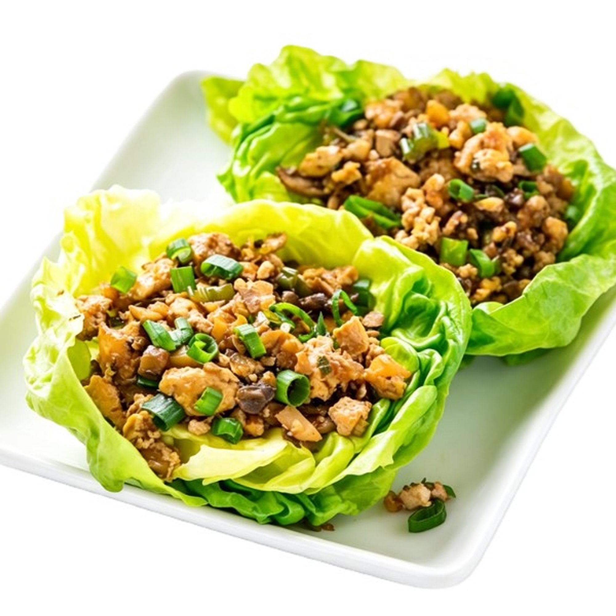 Tofu Lettuce Wrap