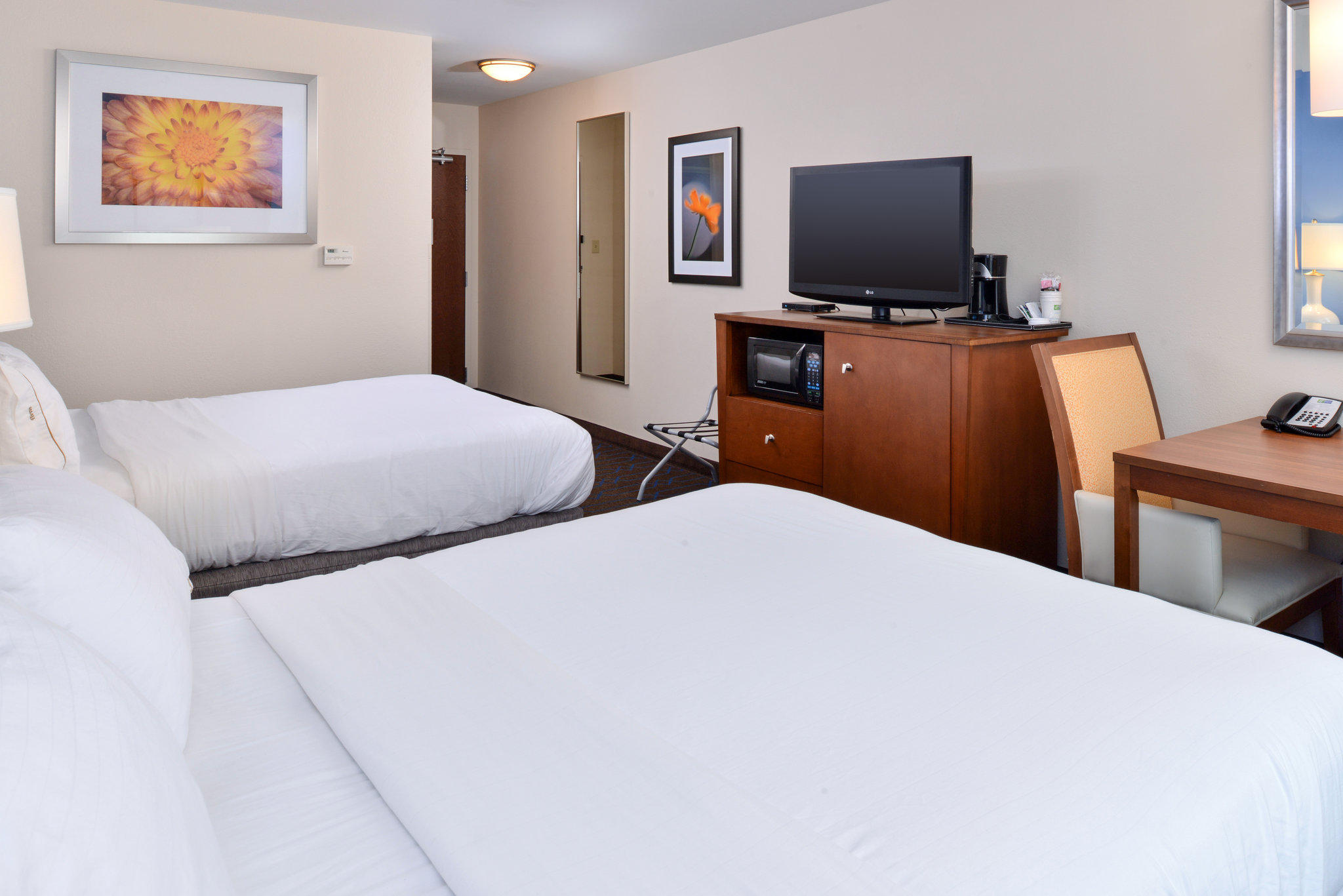 Holiday Inn Express & Suites Terre Haute Photo