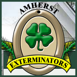 Amherst Exterminators Photo