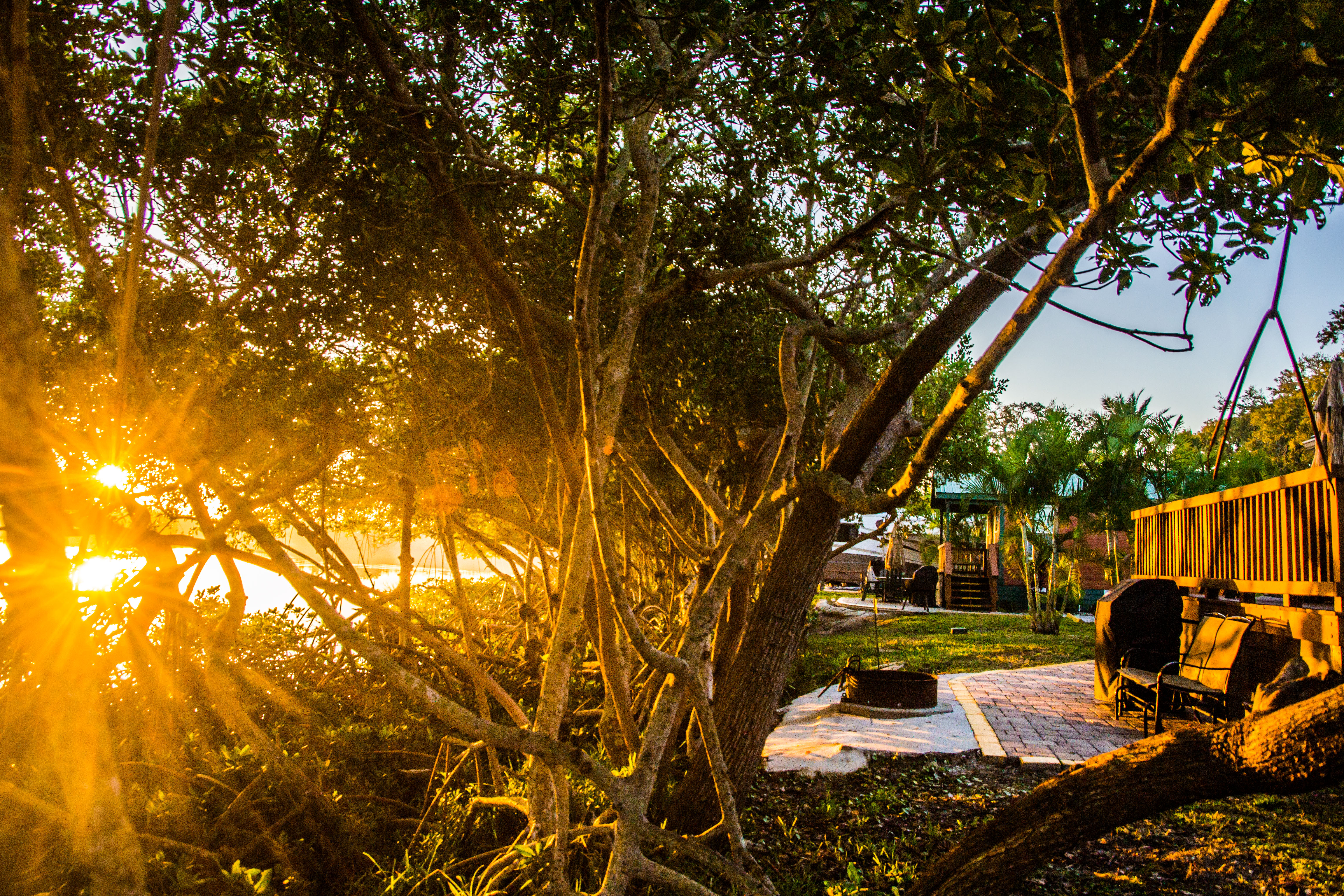 St. Petersburg / Madeira Beach KOA Holiday Photo