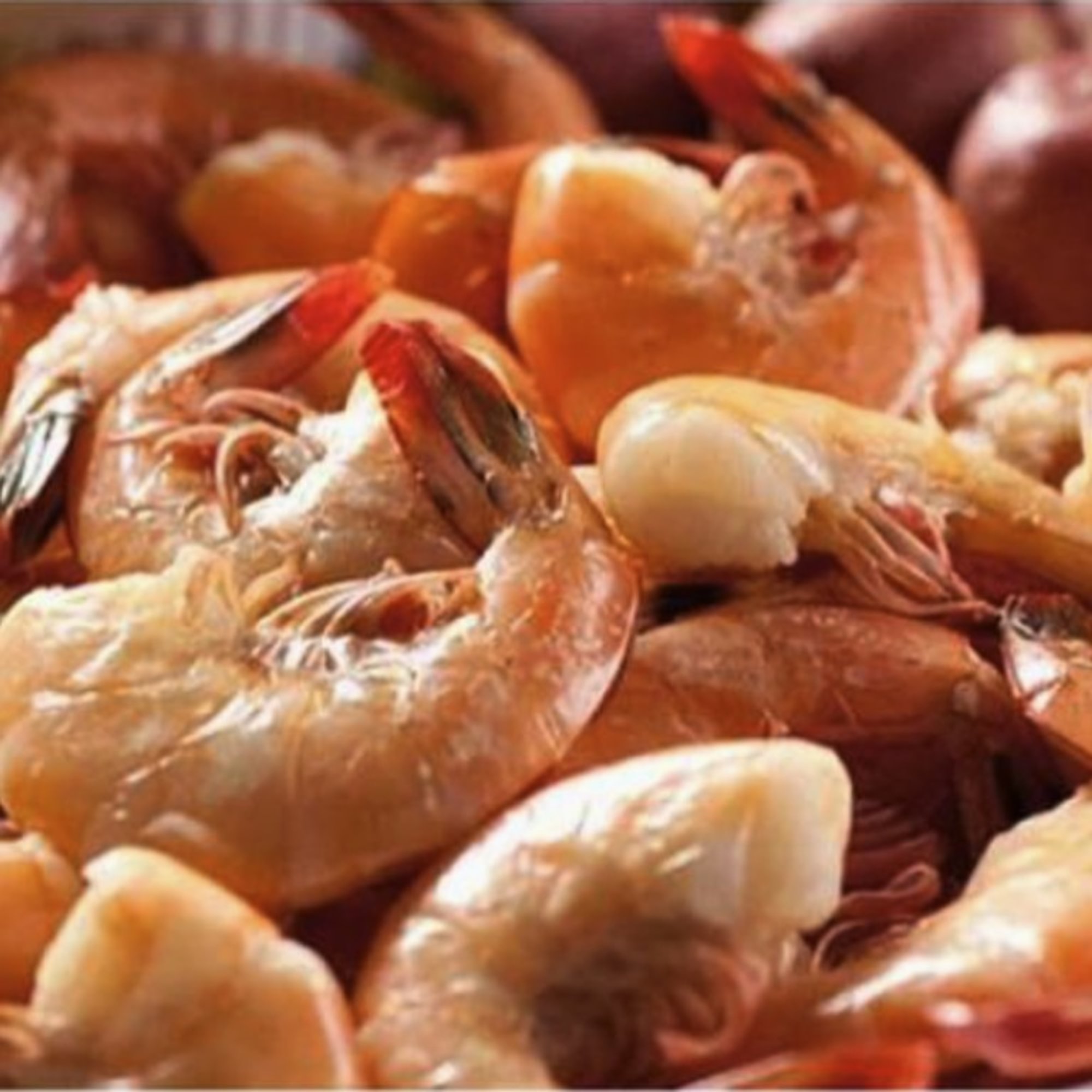 Shrimp
