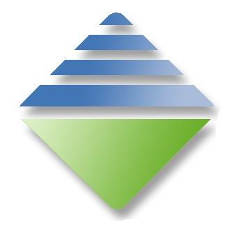 Air National Texas Logo