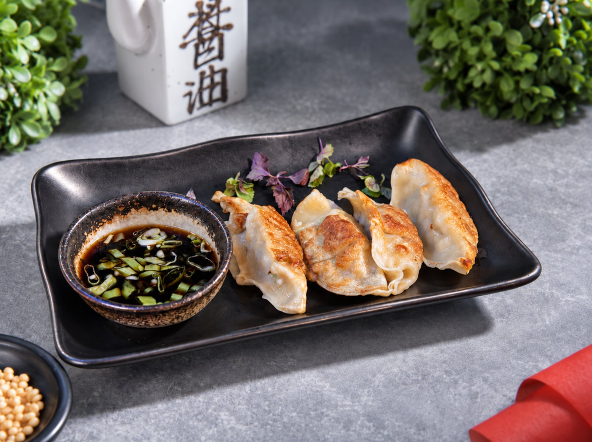 Gyoza Pork