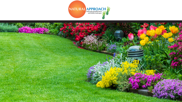 Images Natural Approach