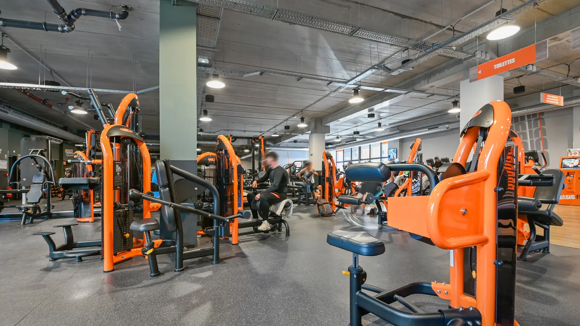 Miniature de la galerie