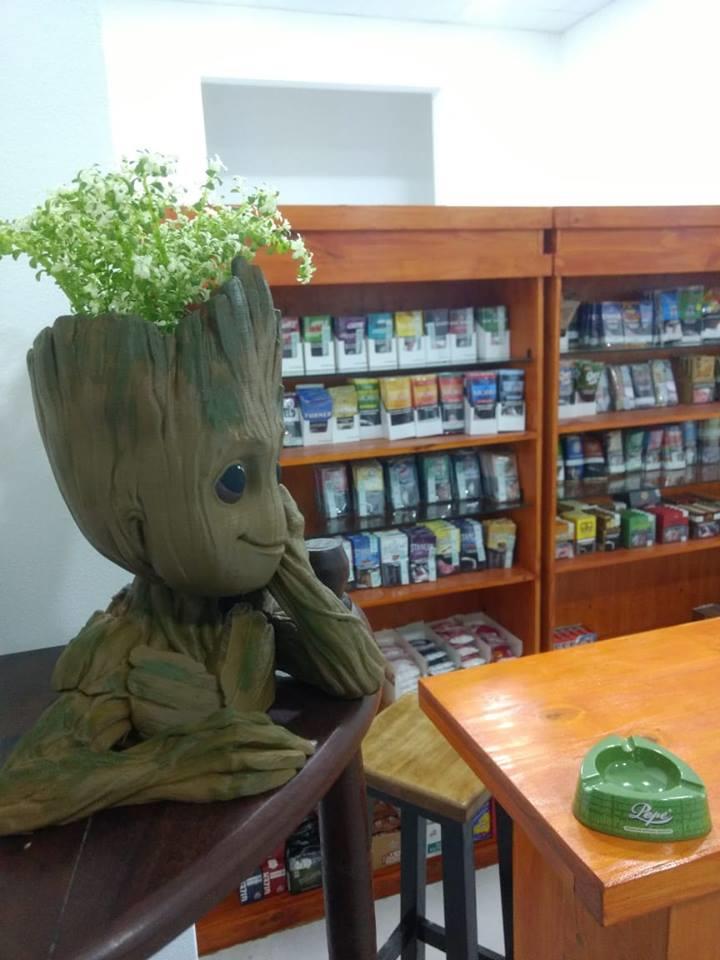 Galería en miniatura