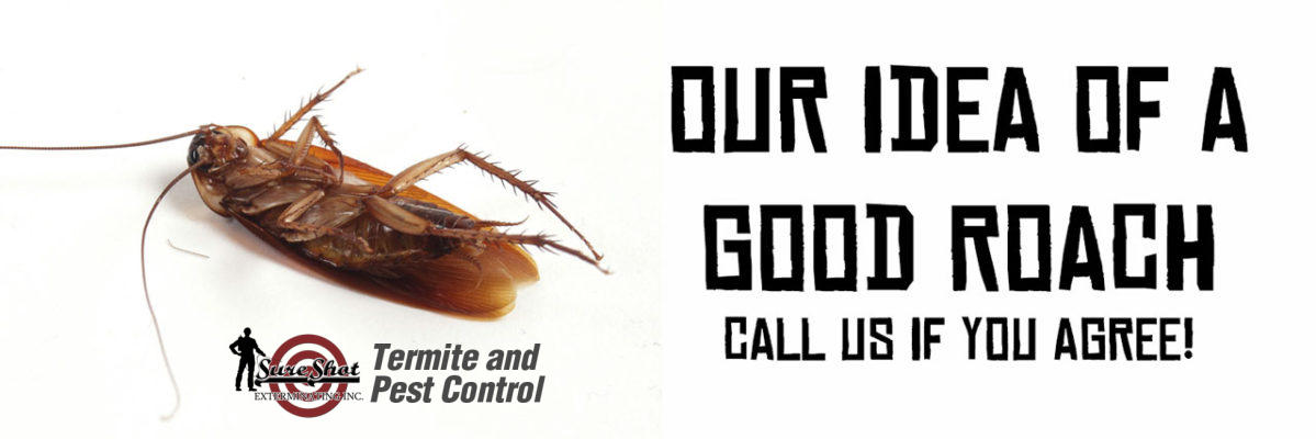 Sure Shot Exterminating, Inc. Photo