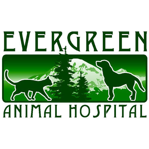 Evergreen Animal Hospital Photo