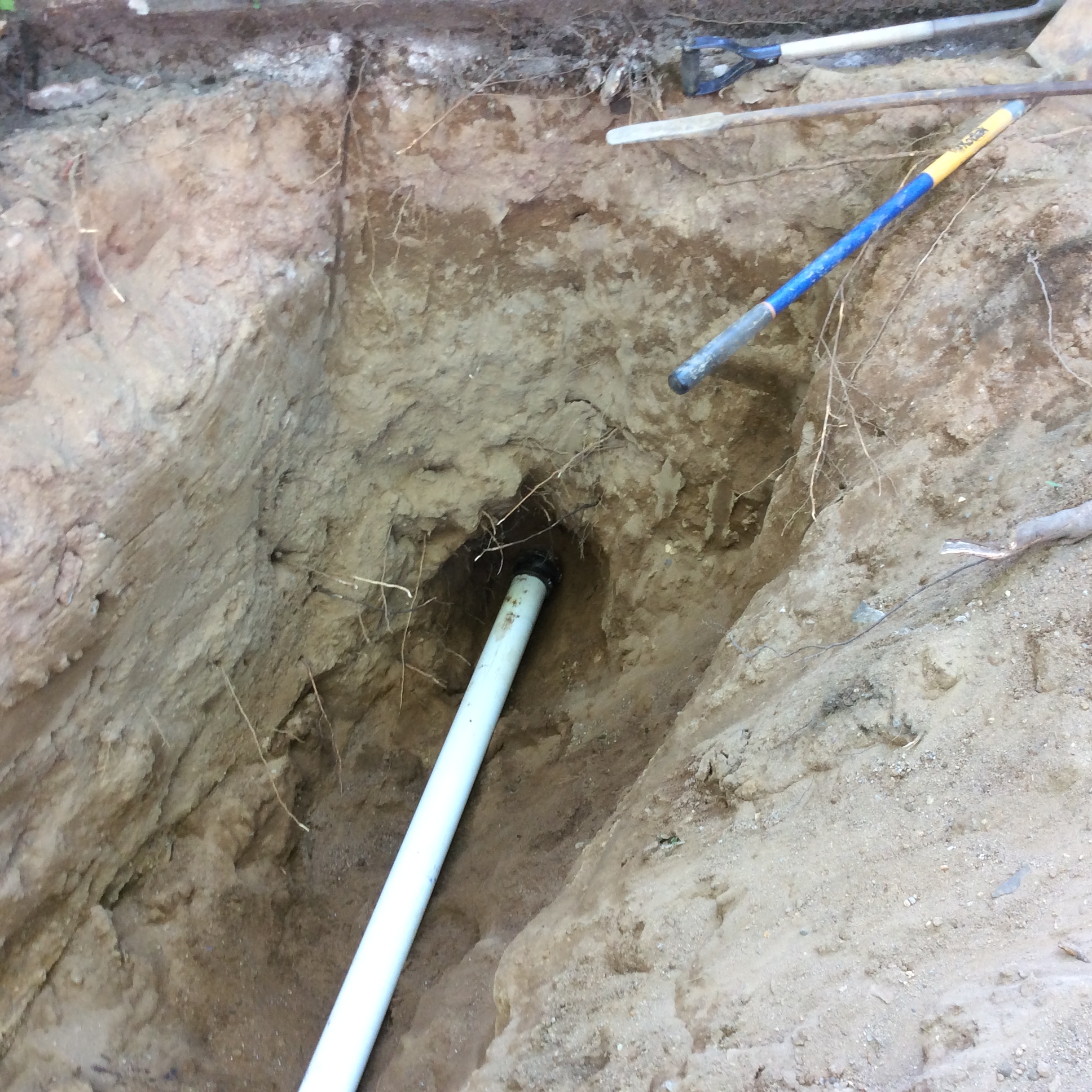 Sewer Surgeons Image