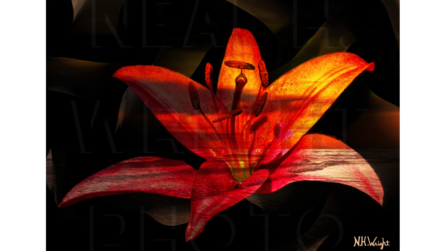 Neal Wright Photography Logo