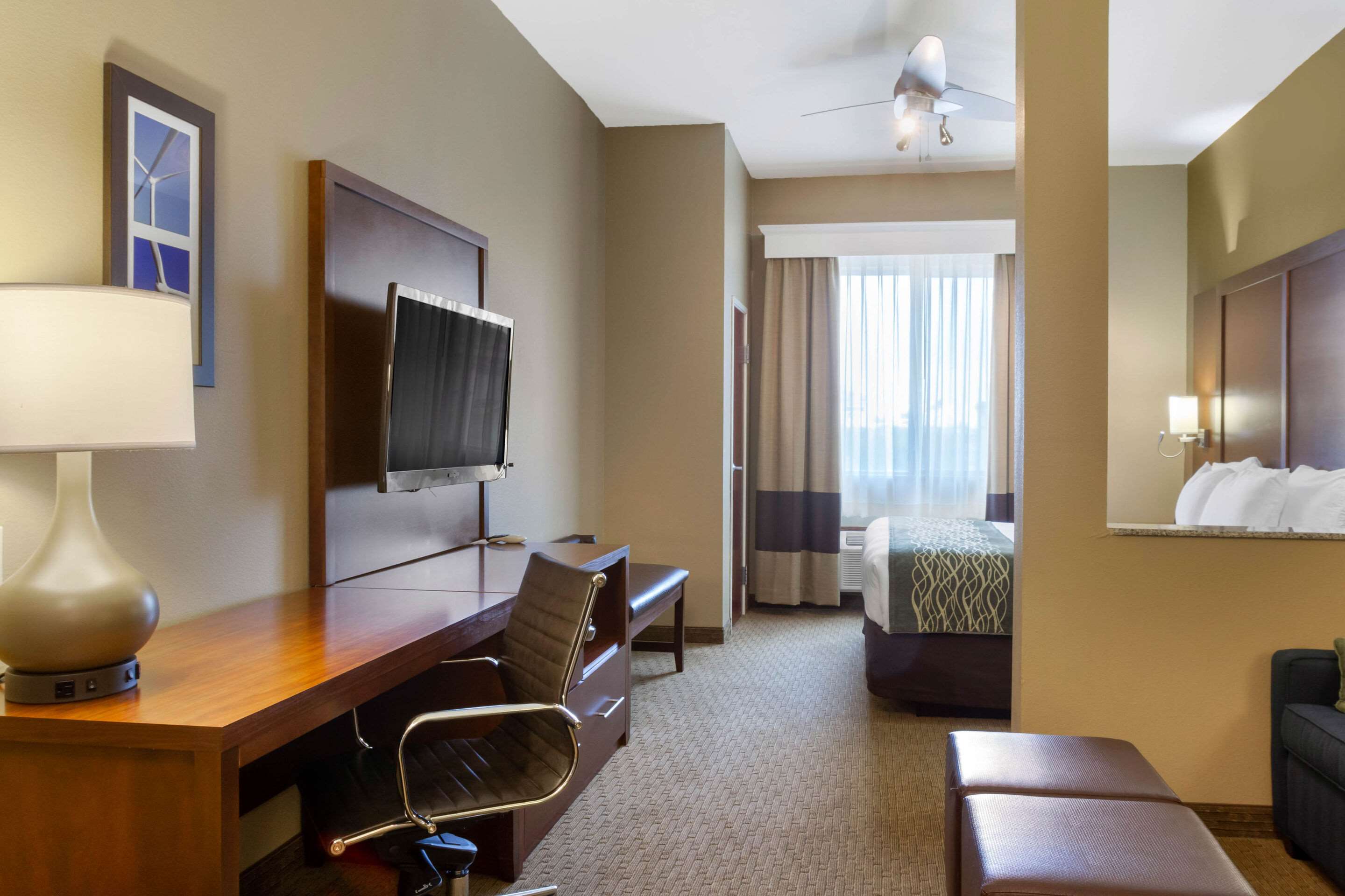 Comfort Inn & Suites Photo