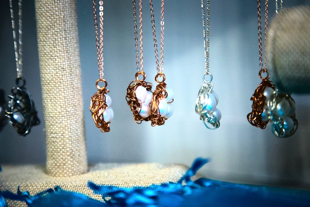 The Not So Empty Nest Logo