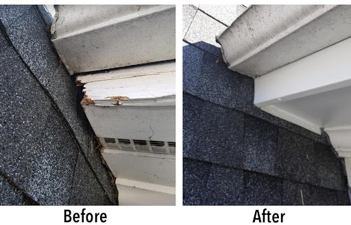 NJ Pest Control Image