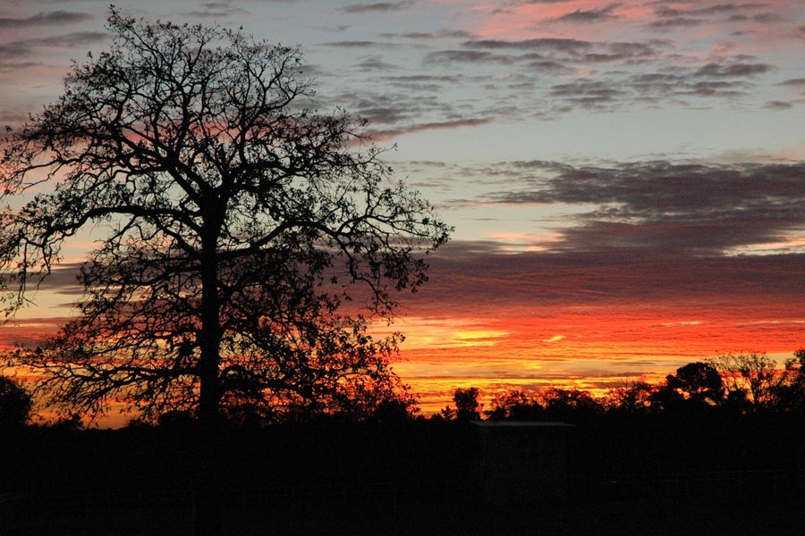 The Last Resort Recovery Center Image