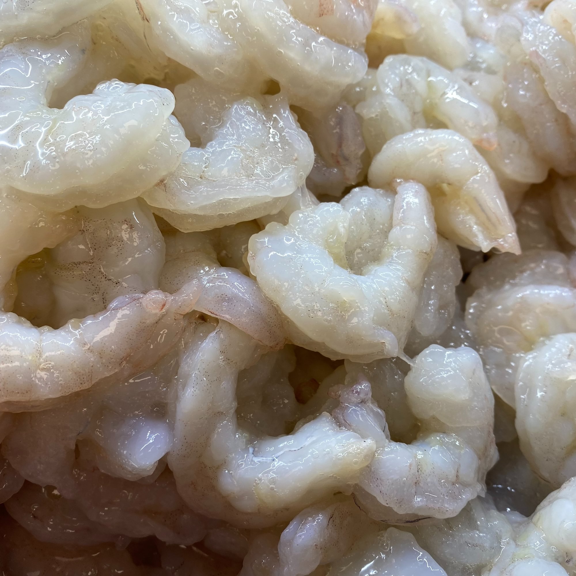 Shrimp (Shell On) 1 Pound