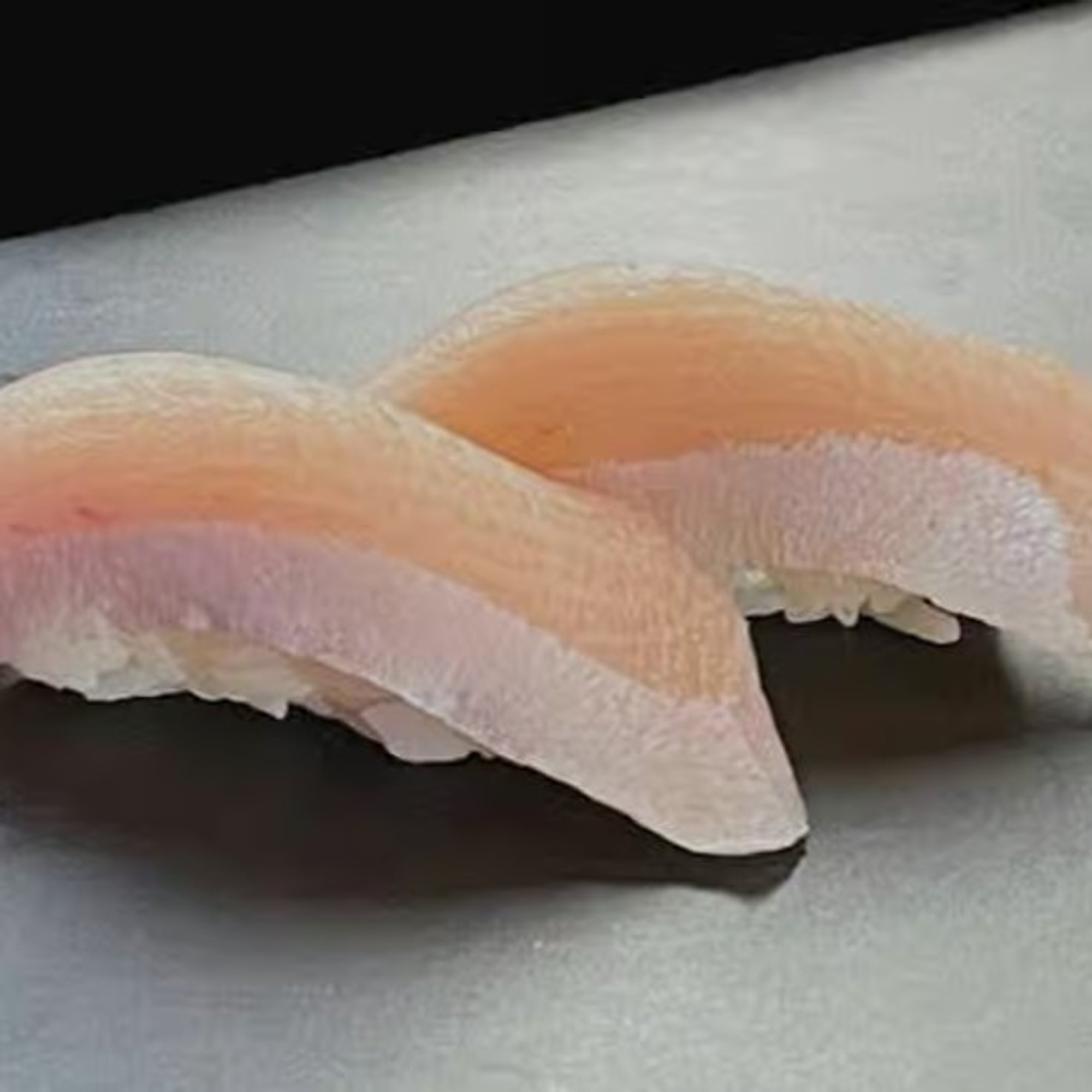 Yellowtail