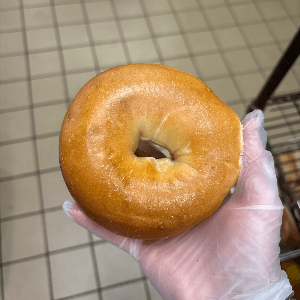 Plain Bagel