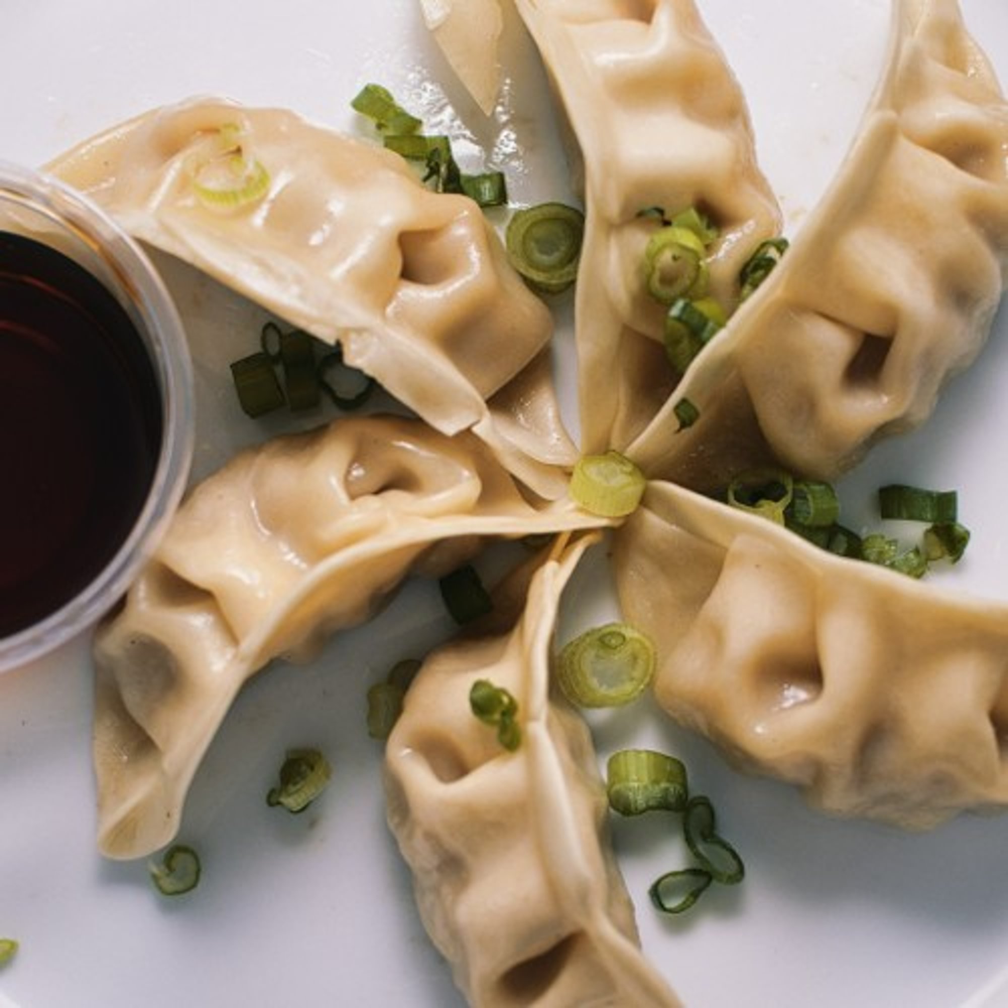 Pork Gyoza 8 Pieces