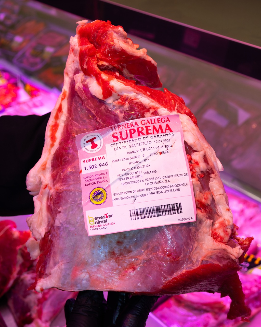 Galería en miniatura