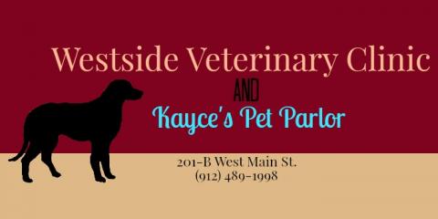 Westside Veterinary Hospital Photo