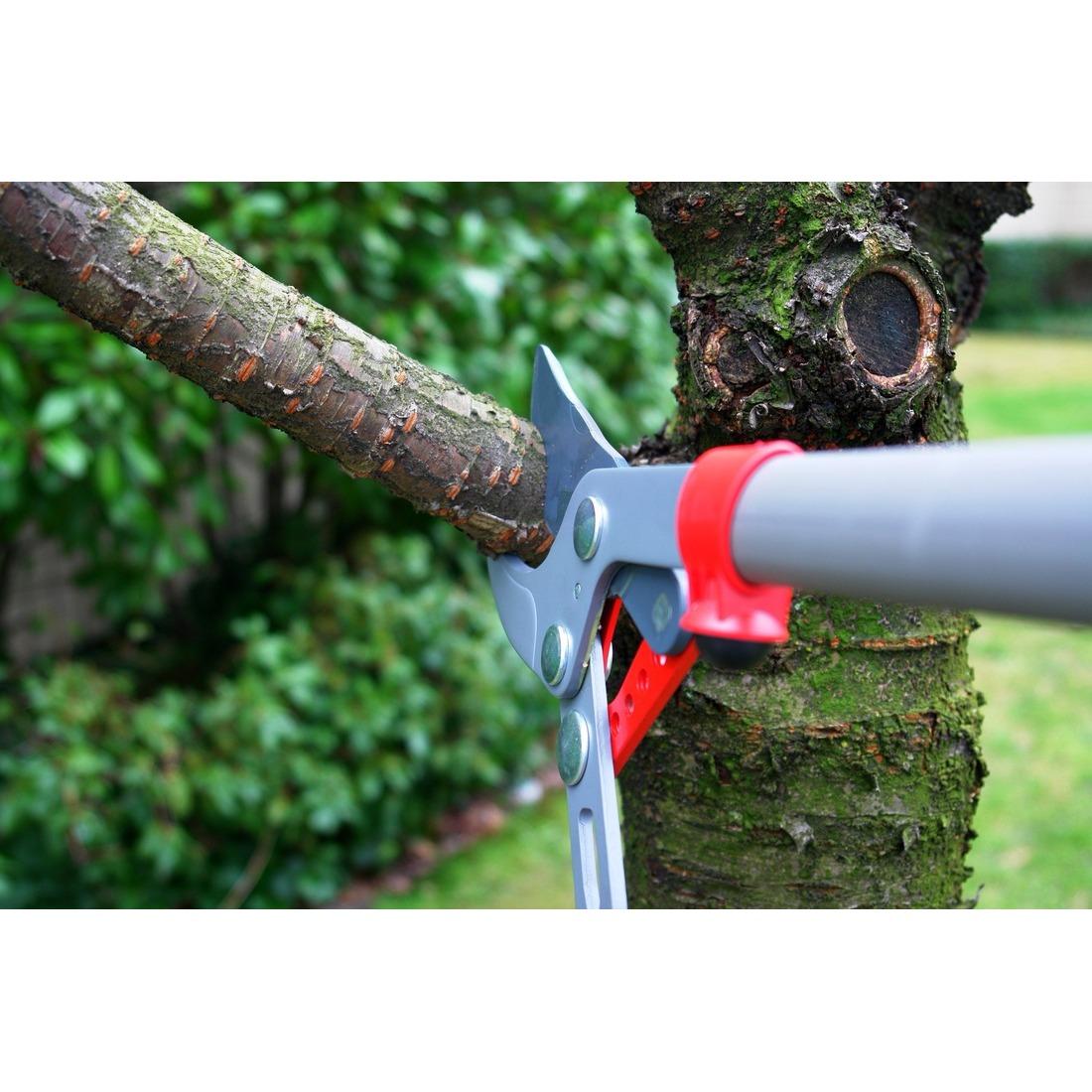 Reliable Landscaping &amp; Maintenance Logo