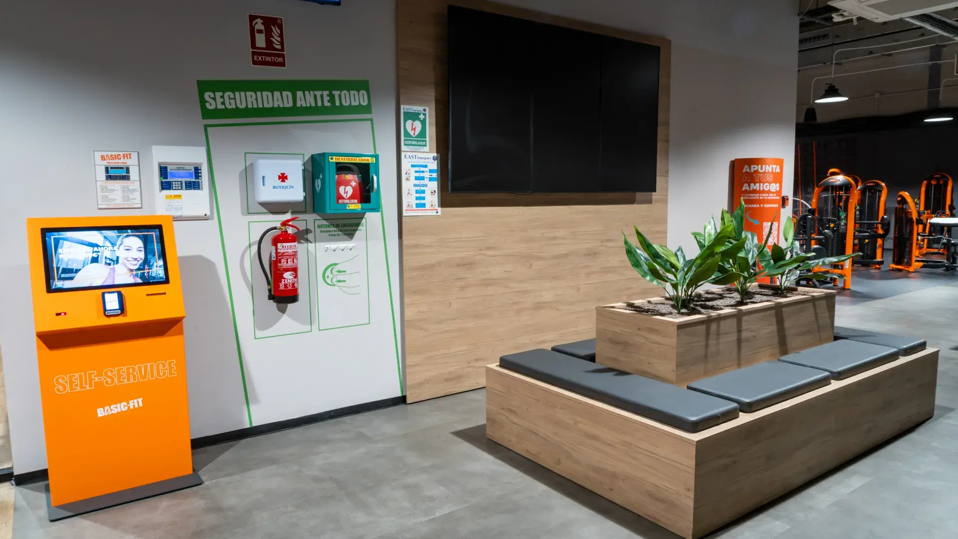 Galería en miniatura