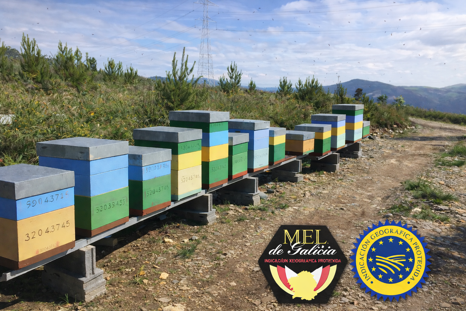 Galería en miniatura