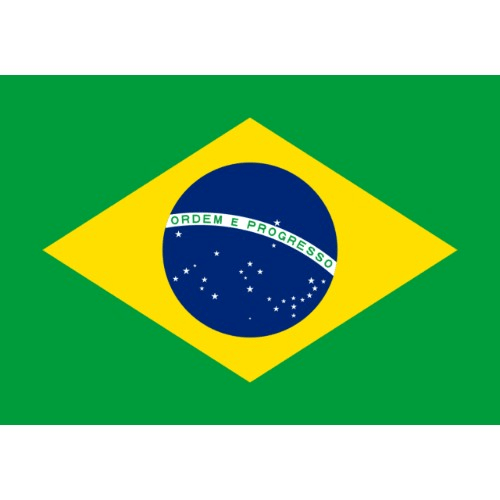 Brazilian Pizza Party Thursdays