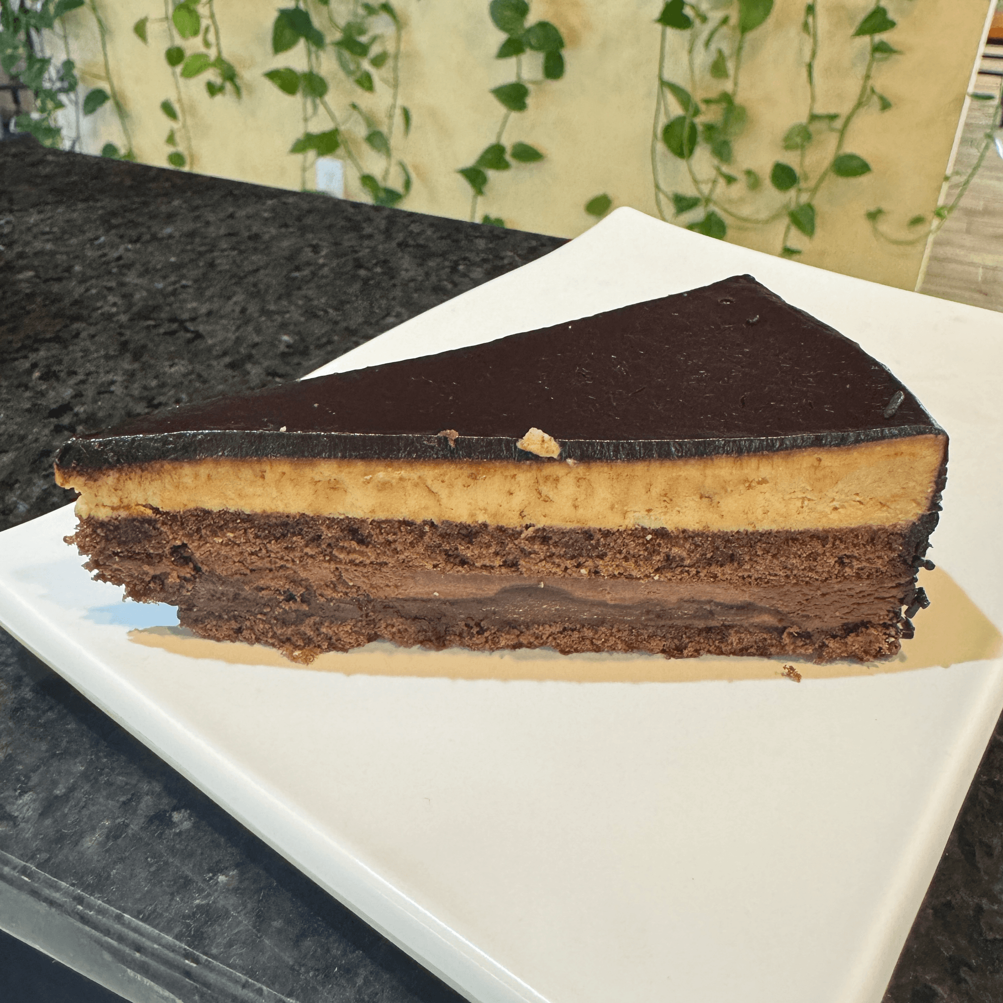 Chocolate Temptation