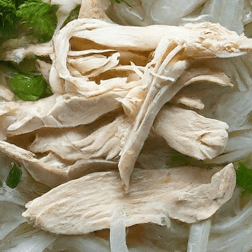 Chicken Breast
