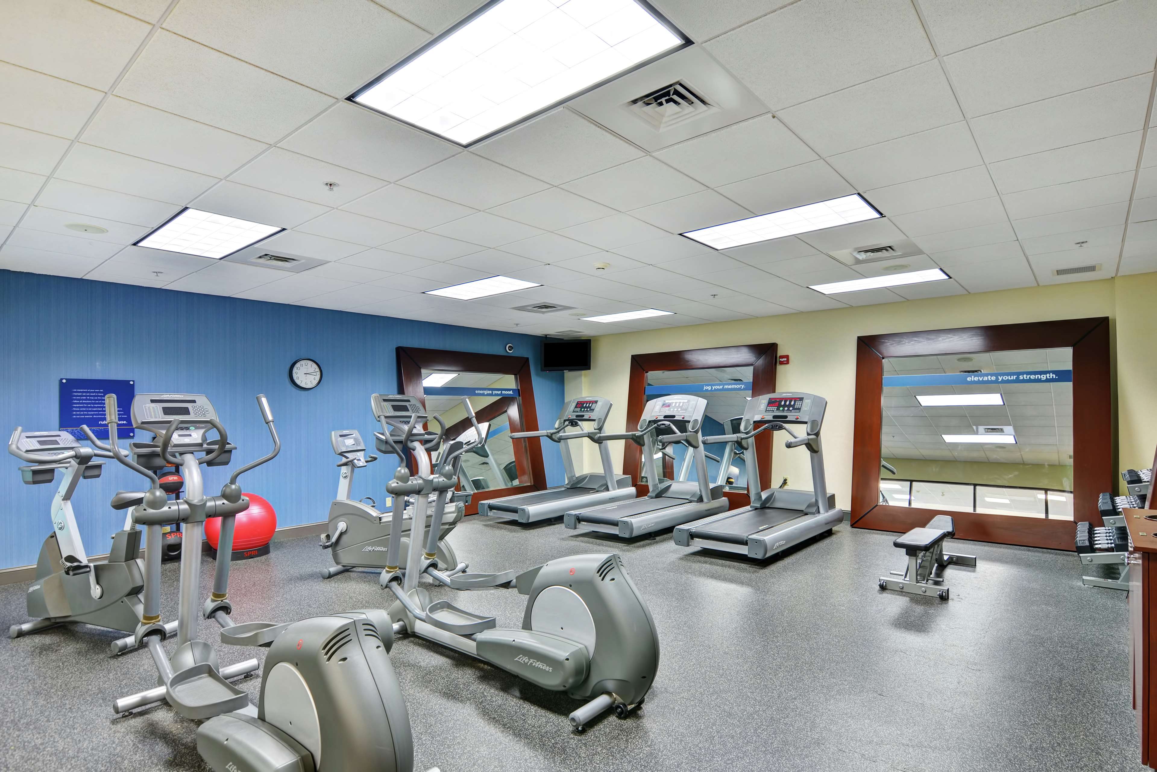 Health club  fitness center  gym