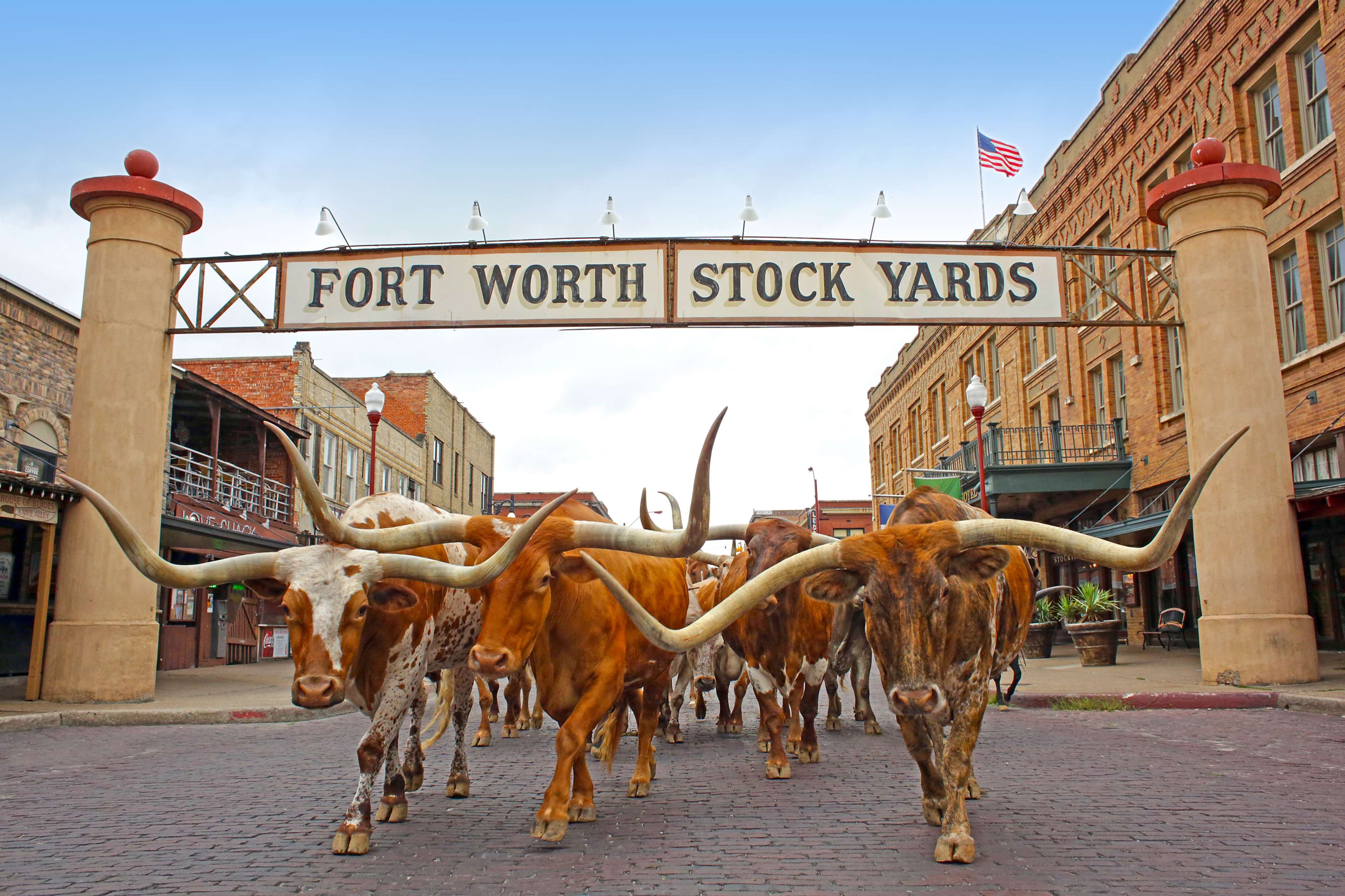 Radisson Hotel Fort Worth North-Fossil Creek Photo