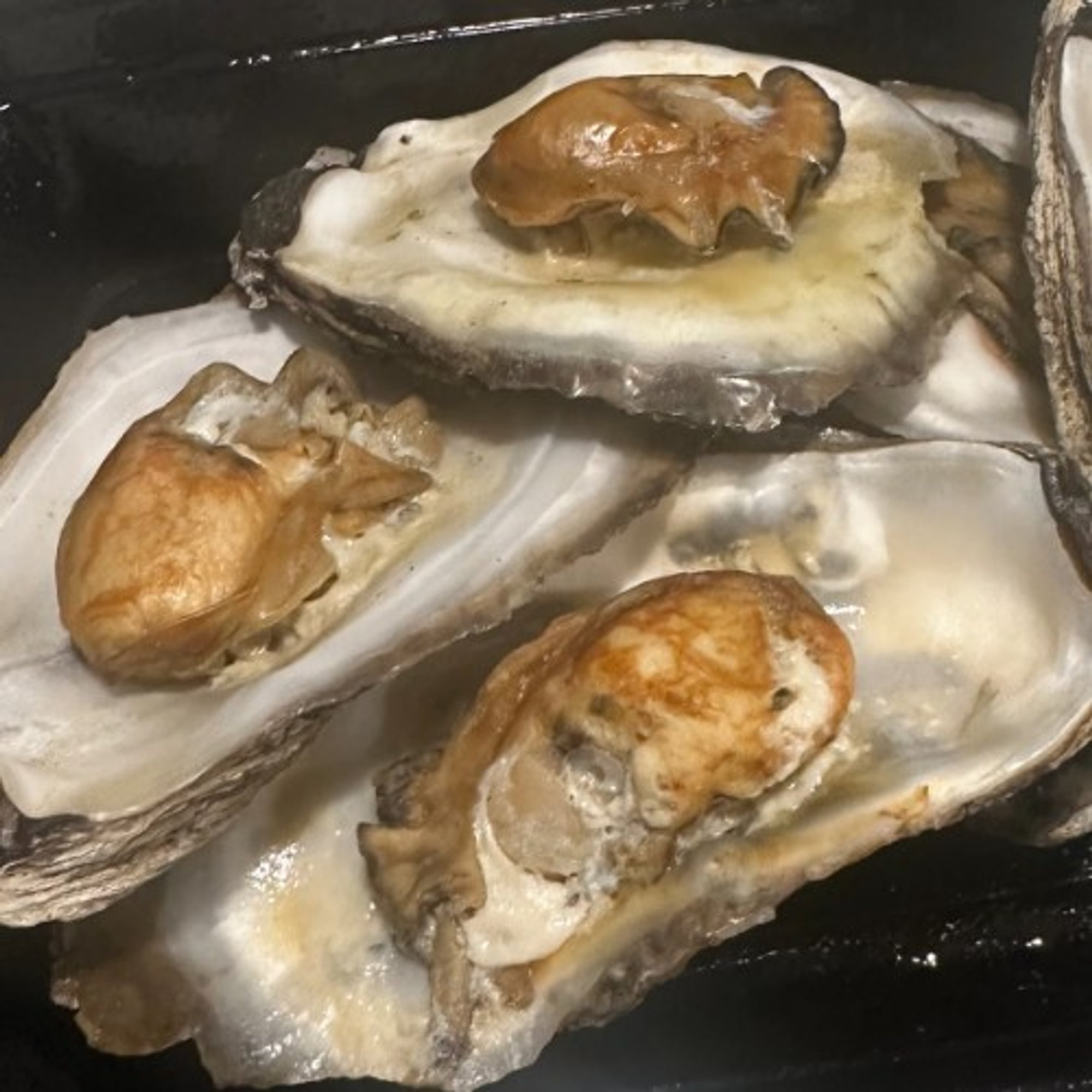 Steamed Oysters