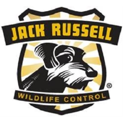 Jack Russell Wildlife Control, A division of Jack Russell Home Services Inc. Logo