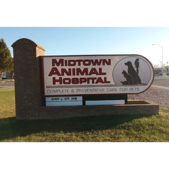 Midtown Animal Hospital