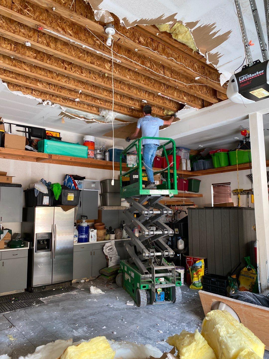 Anatom Restoration Image