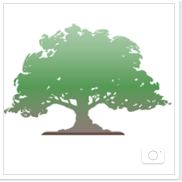 J&L Tree Service Inc.