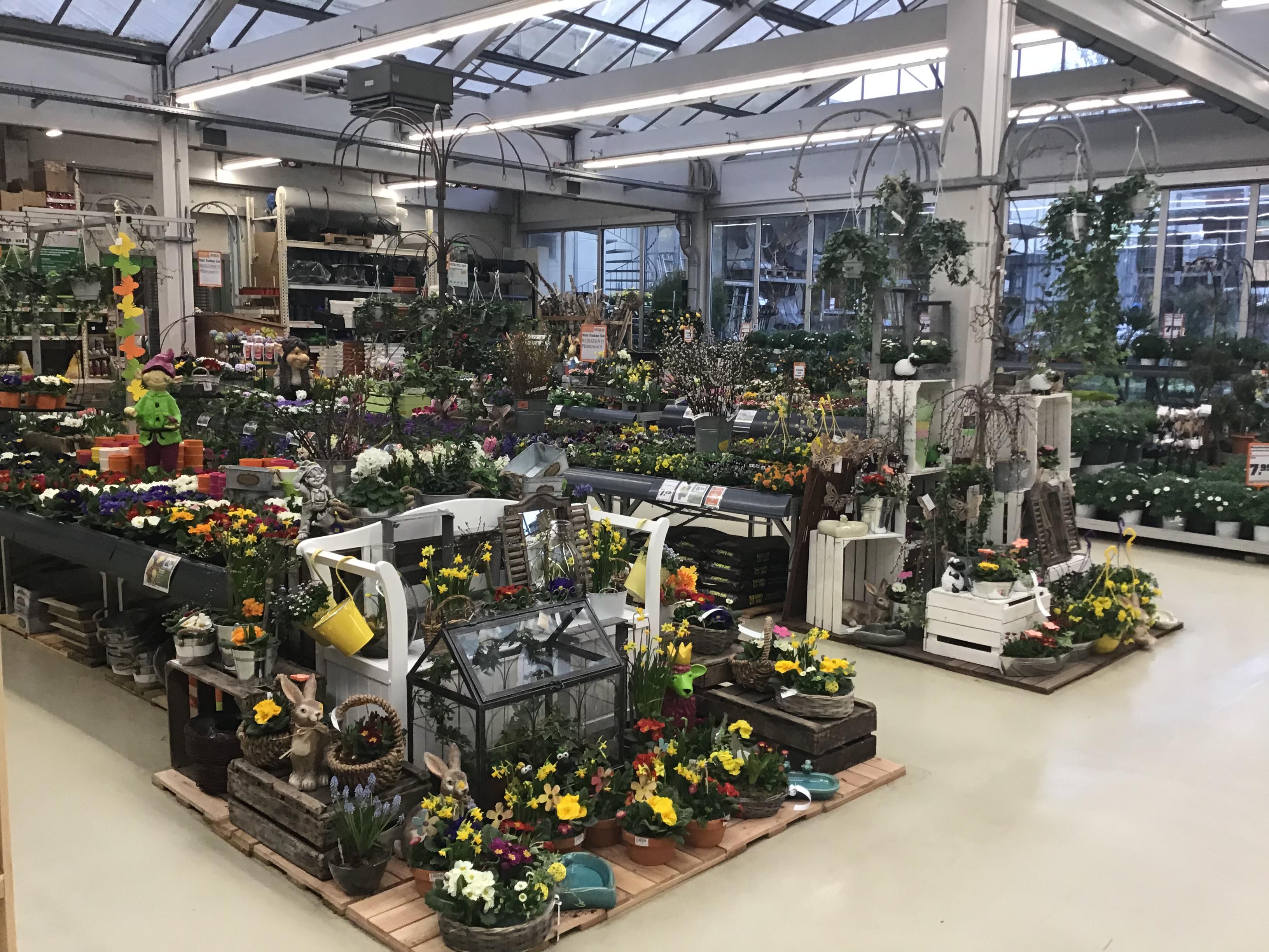 Bilder OBI Markt Köln-Dellbrück