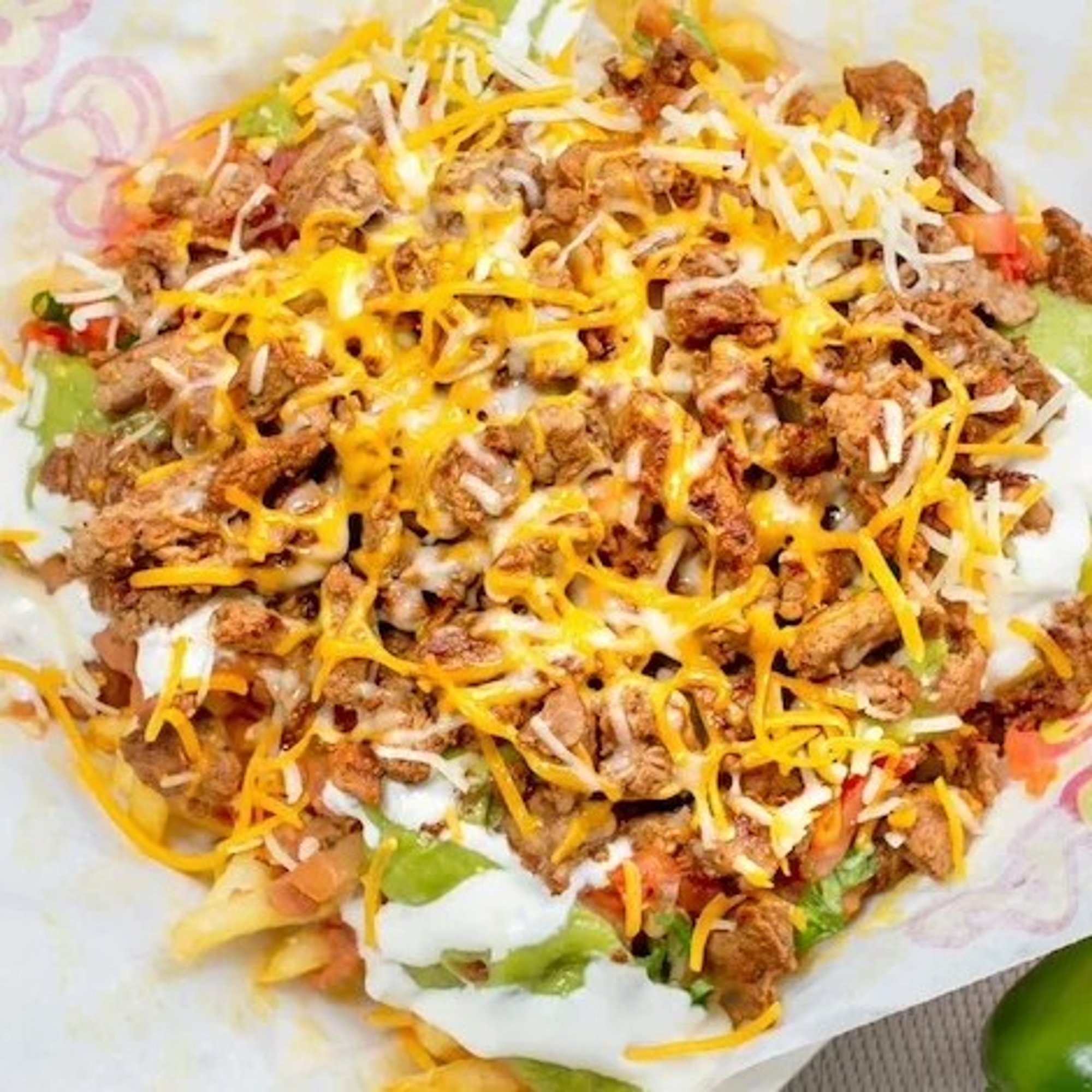 Carne Asada Fries