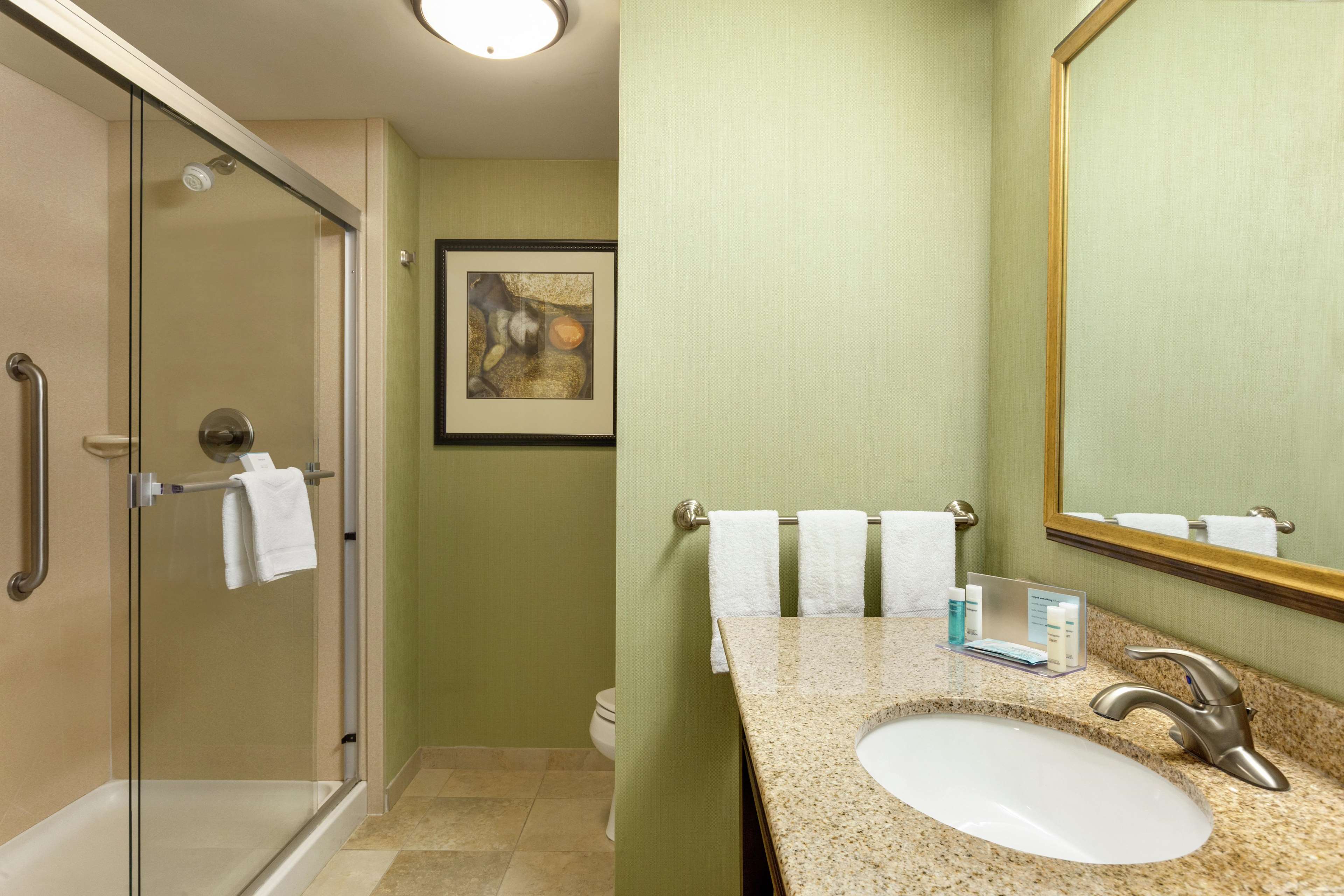 Hampton Inn & Suites Prattville Photo