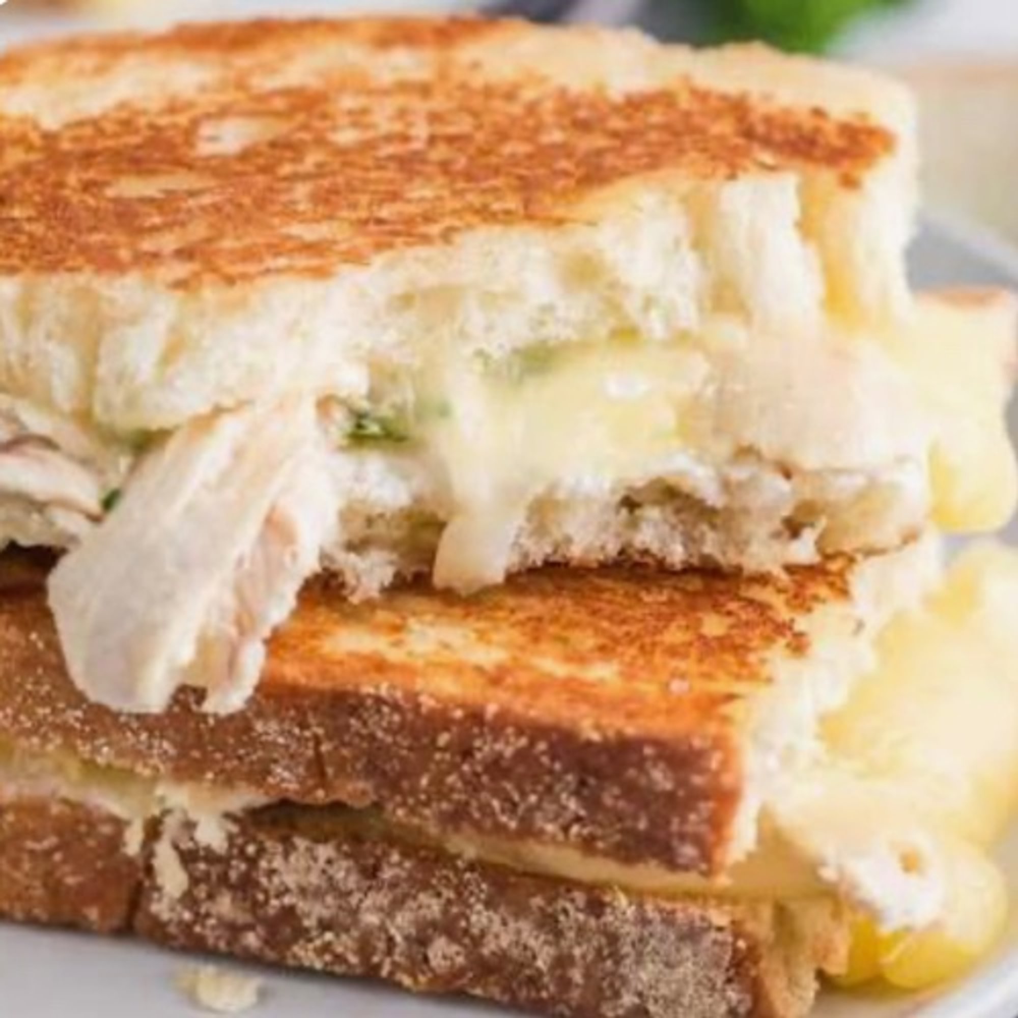 GRILLED CHICKEN MELT