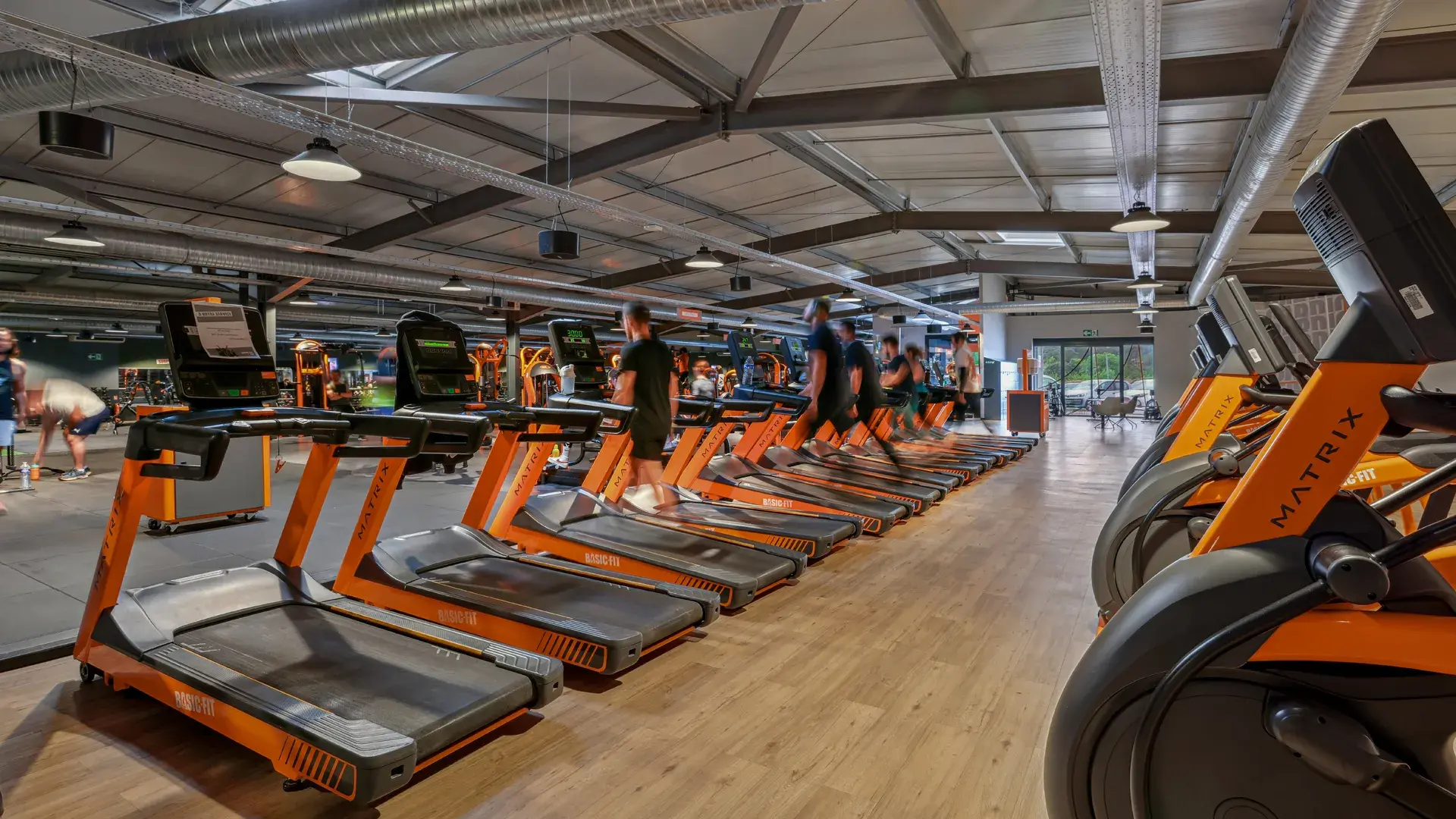 Miniature de la galerie