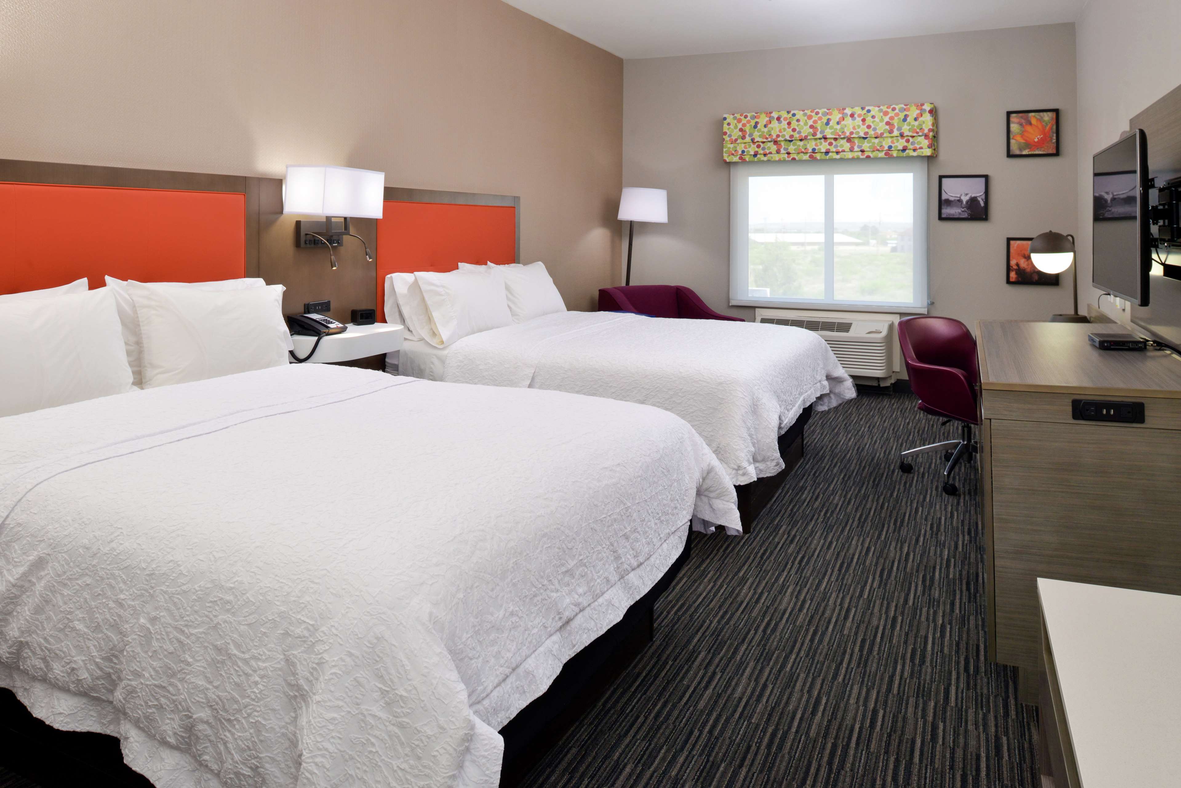 Hampton Inn Fort Stockton Photo