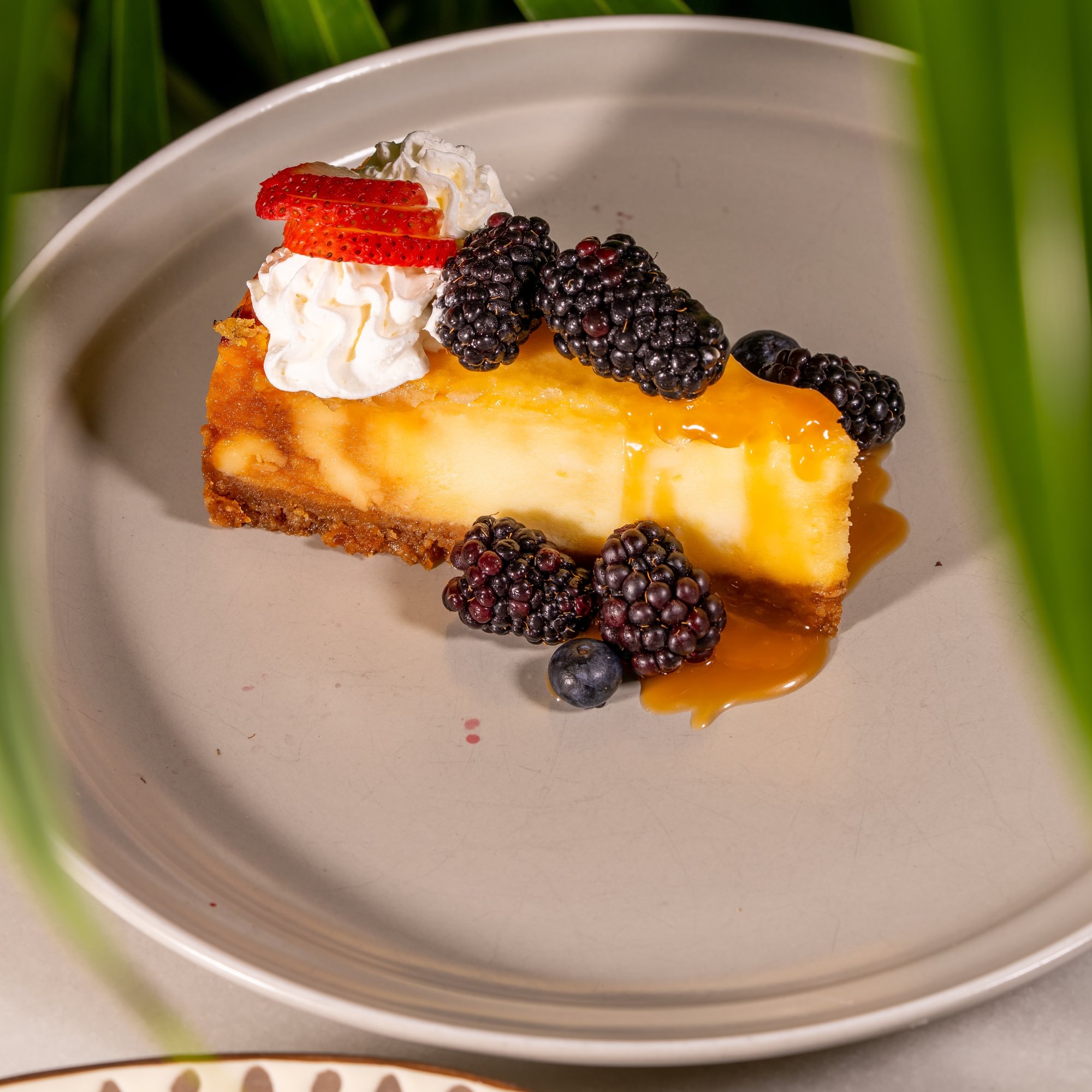 Creme Brulee Cheesecake