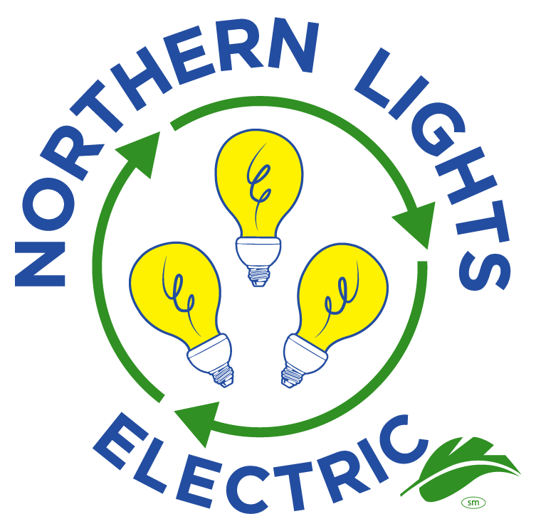 Northern Lights Electric Photo