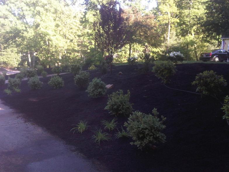 Morahan Brothers Landscaping Photo